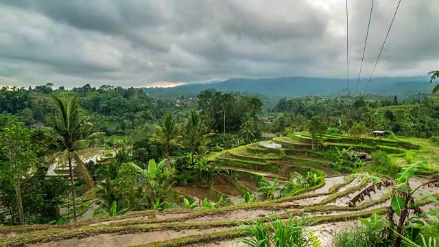 印尼巴厘岛的Jatiluwih大米改造