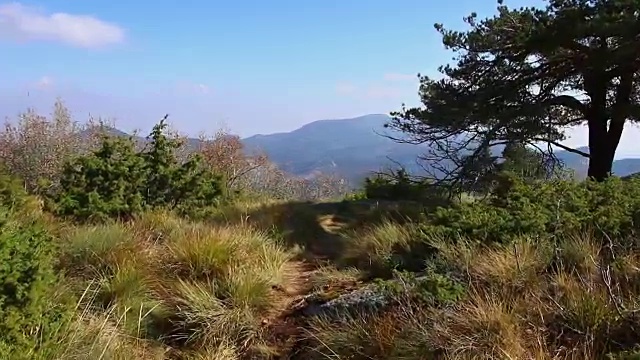 在高森林山的小路和岩石上行走的个人视角