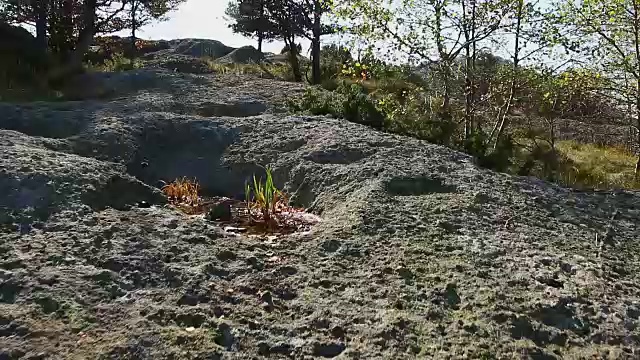 在高森林山的小路和岩石上行走的个人视角