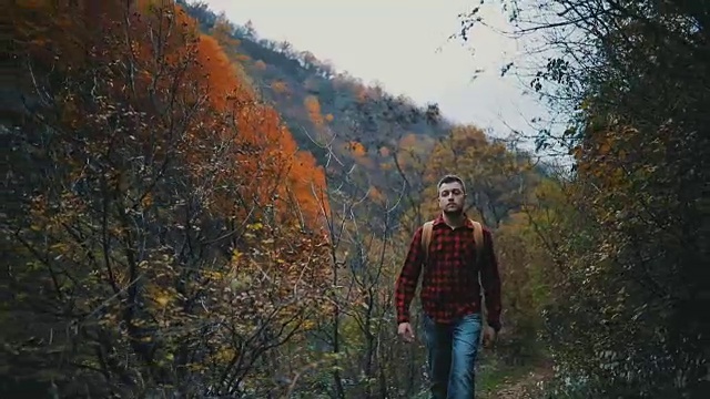 在散步。在森林中行走的徒步旅行者。