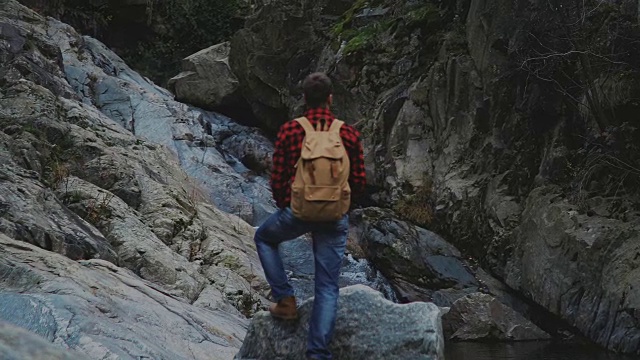 在散步。在森林中行走的徒步旅行者。