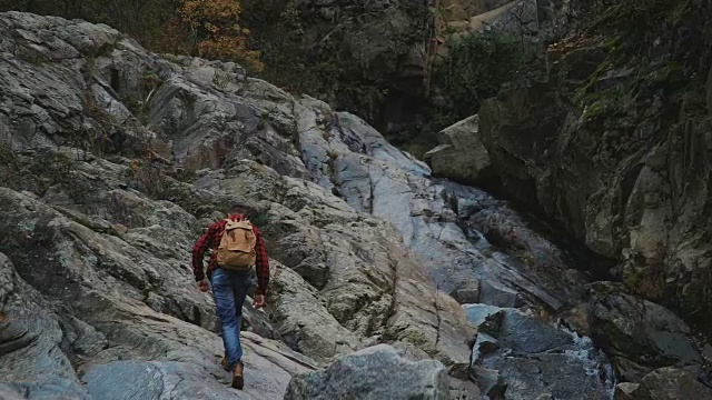 在散步。在森林中行走的徒步旅行者。