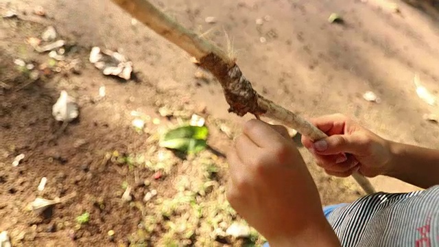 小男孩的特写从一个树枝上撕扯树表面在4k剪辑分辨率