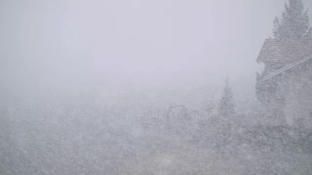 大雪使景色模糊了