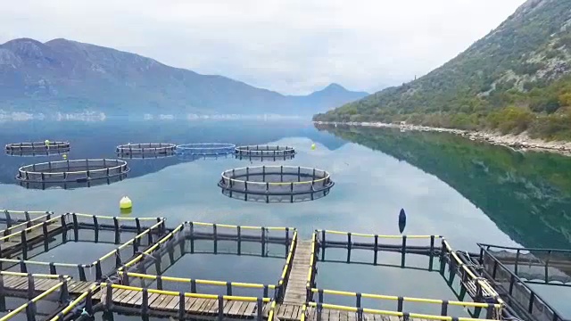 用于种植贝壳、贻贝和牡蛎的航拍苗