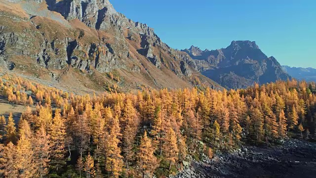 在阳光明媚的秋天，飞越高山峡谷湖泊，发现橙色的落叶松森林峡谷。阿尔卑斯山户外丰富多彩的自然景观，山野秋实的建立。4k无人机飞行建立