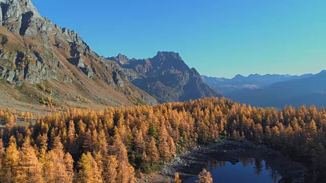 在阳光明媚的秋天，向后空中俯瞰高山山谷湖泊和橙色落叶松森林。阿尔卑斯山户外丰富多彩的自然景观，山野秋实的建立。4k无人机飞行建立镜头