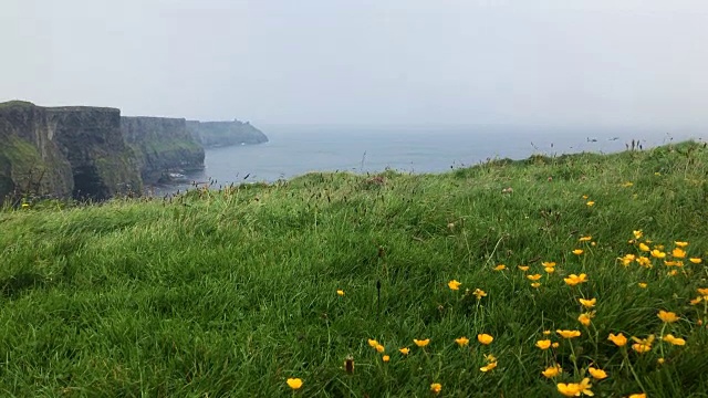 爱尔兰莫赫悬崖前的草地