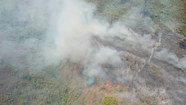 森林火灾。Jawa岛、印度尼西亚