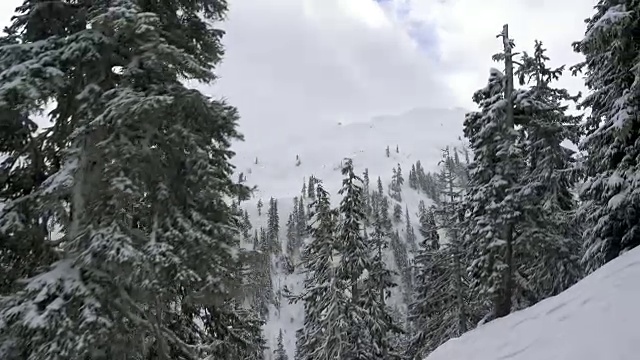 贝克山滑雪区半球鸟瞰图