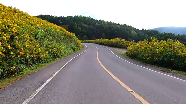 在泰国湄宏儿省的东布塘墨西哥向日葵乡村道路上行驶