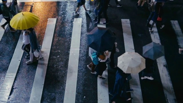 台北台湾-行人过马路在雨天