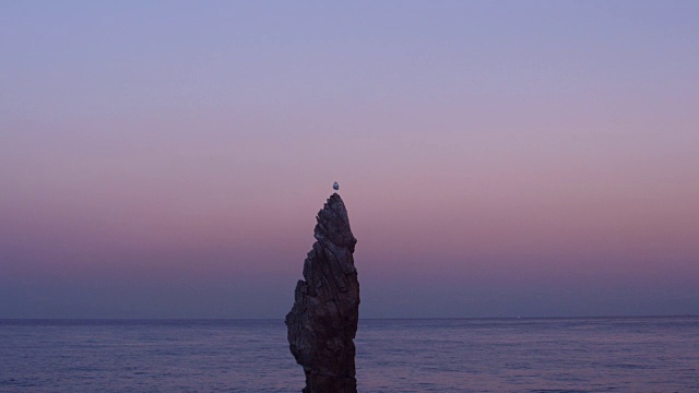 海鸥一只脚站在Chooam烛台岩石在晚上