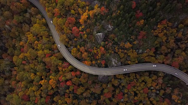 穿过森林的道路的天线