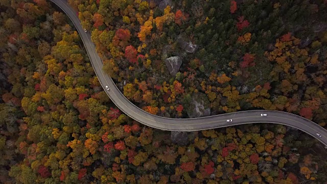 詳情圖-穿過(guò)森林的道路的天線