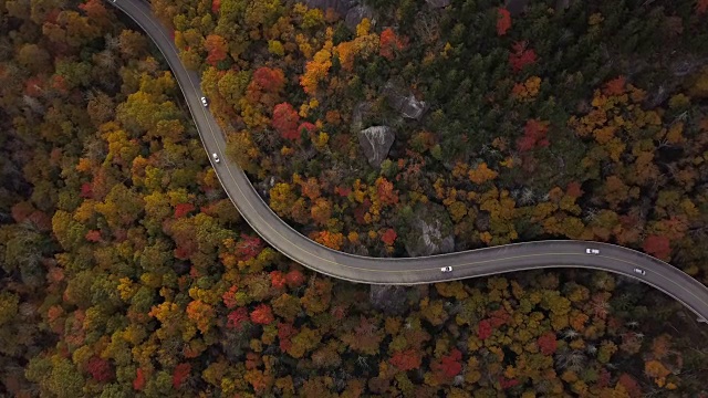 詳情圖-穿過(guò)森林的道路的天線