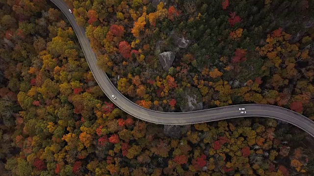 詳情圖-穿過(guò)森林的道路的天線