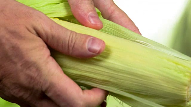 詳情圖-新收獲的玉米芯