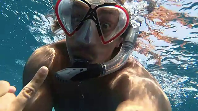 海豚、海龟、海牛。红海的居民