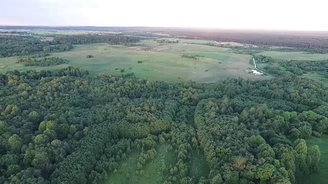 向后飞行景观