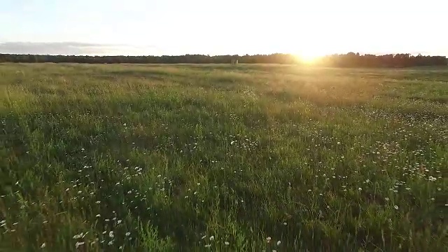 向后飞过小房子附近的草地