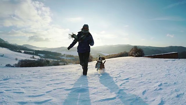 4K视频:活跃的比格犬和它的女主人在雪山边奔跑