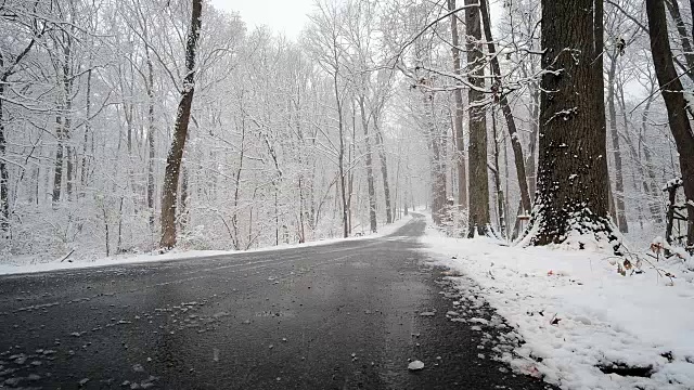 雪覆盖了树木和道路