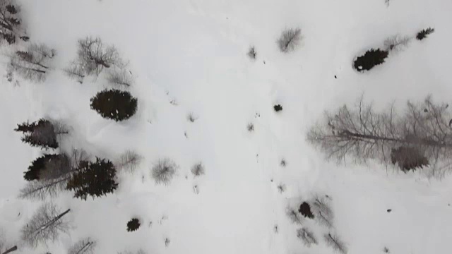 头顶上的无人机飞行建立与积雪森林的冰湖。冬天的雪在野外的山中自然。直接透视旅行探索阿尔卑斯山。4k俯视图视频