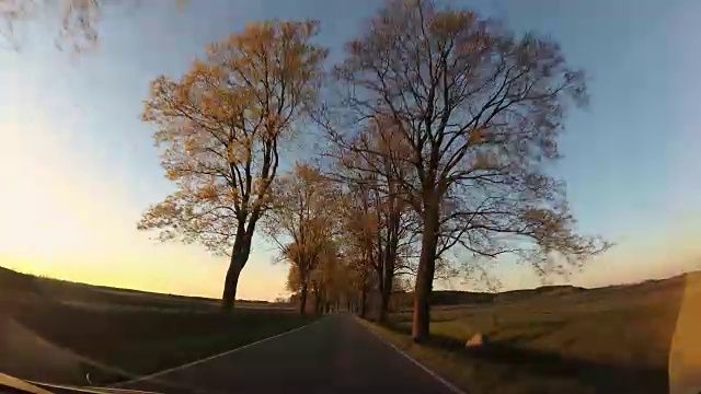 驾驶乡村道路与树木在日落POV