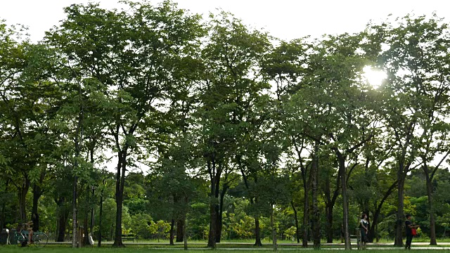 詳情圖-在公園騎自行車