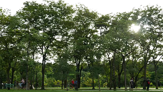 詳情圖-在公園騎自行車