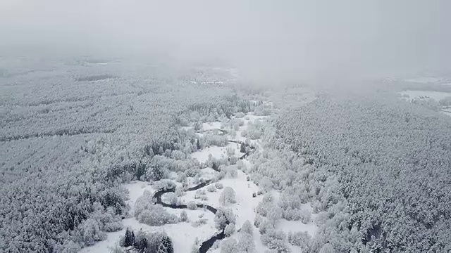 4 k。在雾霾天气下，在冰冻森林中蜿蜒的河流上飞行。北方多雪的冬天。航拍全景