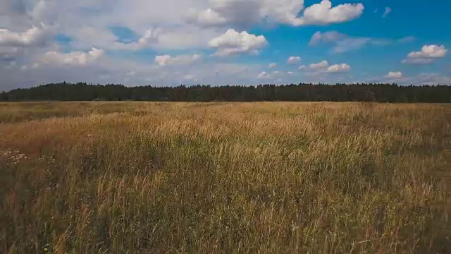 空中綠油油的田野，藍天白云