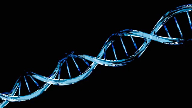 蓝色DNA分子结构分离在黑色上