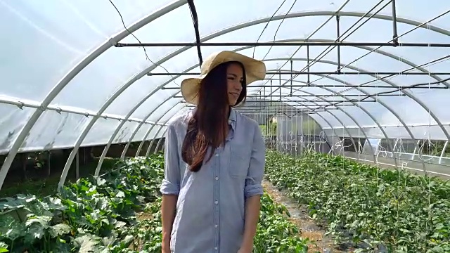 一个漂亮的女孩戴着草帽，戴着粉色橡胶手套，正在检查温室里的蔬菜。概念:生物产品、天然产品、新鲜、美味、水果、蔬菜、种植、水、植物。