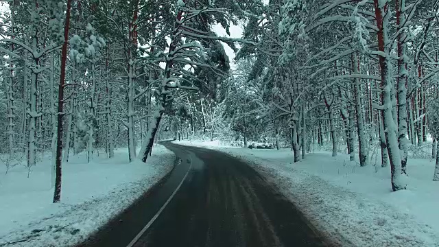 在冬季无人机拍摄的画面中，一辆汽车穿过积雪的松林