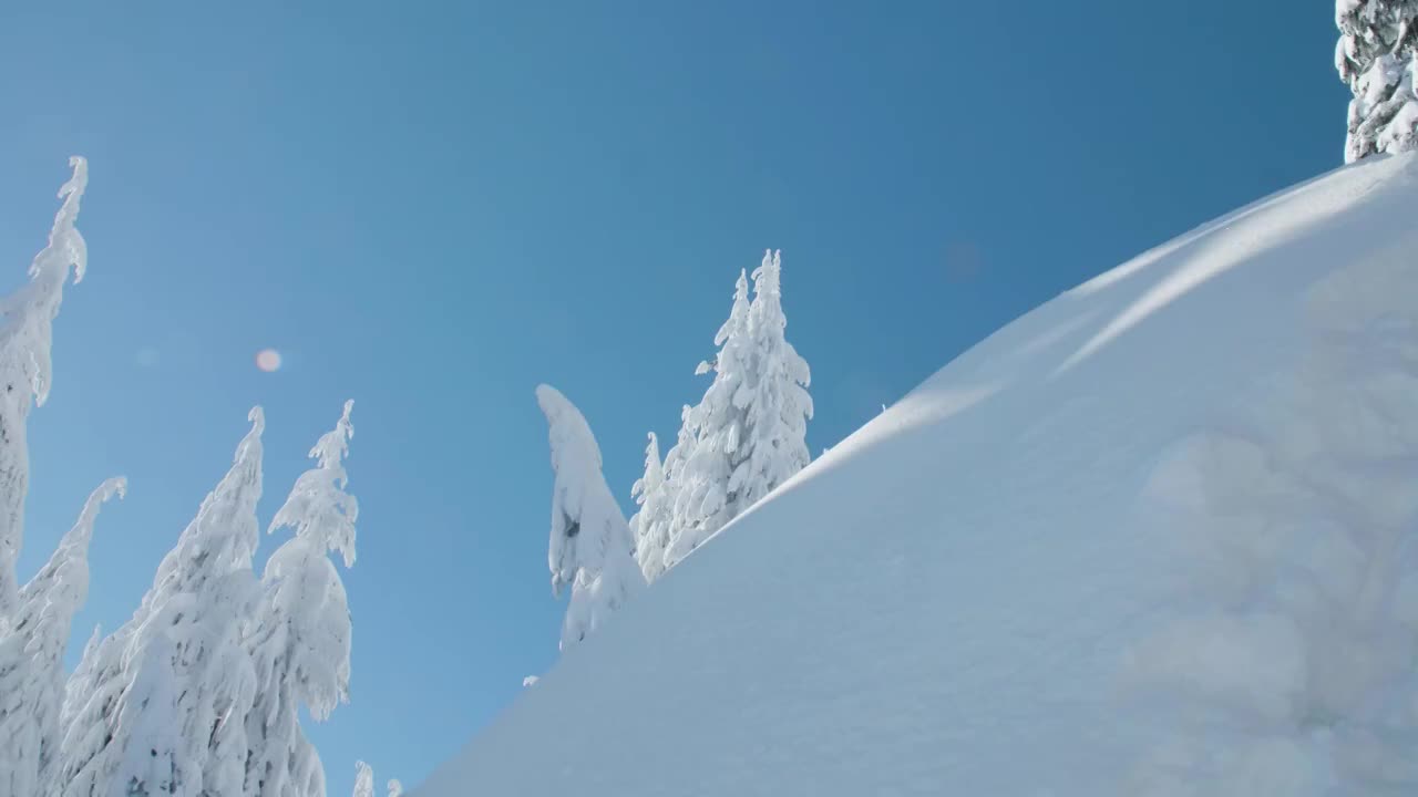 滑雪者跳跃空气在阳光粉末雪-有趣的极限冬季运动户外活动