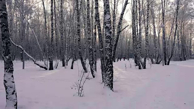 滑雪者在冬季景观。在冬日的树林里漫步。雪的世界。越野滑雪跑道下雪的森林。冬天是传说。