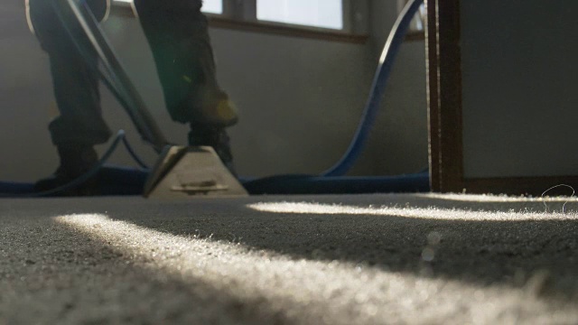 清洁工或管家职业。地毯蒸汽清洁器明亮阳光洁净室