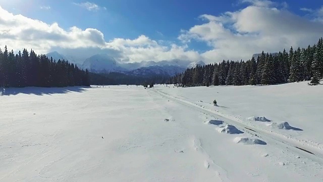 鸟瞰图的积雪森林与高松树和道路在冬天。