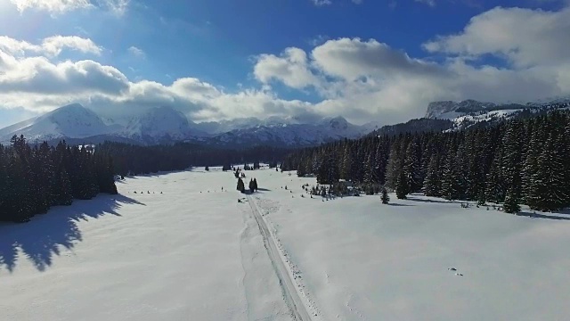 鸟瞰图的积雪森林与高松树和道路在冬天。