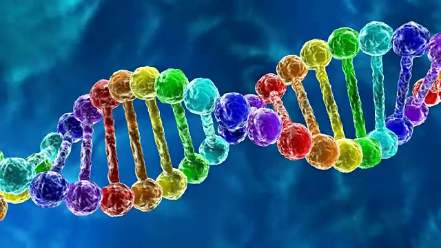 彩虹DNA
