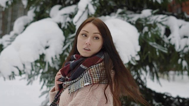 一个女人的肖像谁走在她的头发在冬天的森林，雪躺在圣诞树上，女士转过身