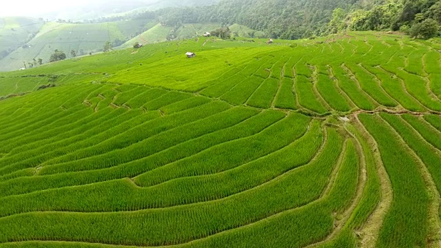 稻田梯田，山地农业用地。