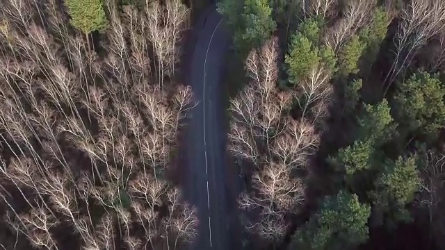 空中旅行