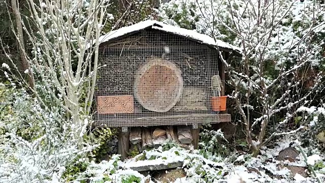 冬天的野生蜂虫旅馆。下雪在花园。