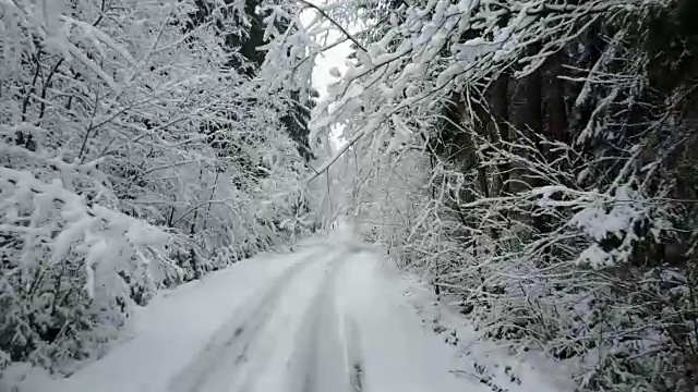 4 k。低空飞行的乡村道路在冰冻的冬季森林的树枝之间。航拍全景