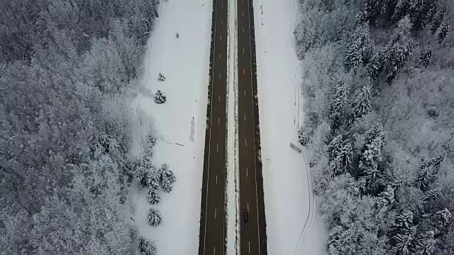 4 k。在冰冻的冬季森林里驾驶汽车飞过道路。空中全景。消失点的角度来看