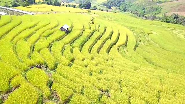 鸟瞰图从多米梯田水稻梯田在泰国北部Mae Chaem，清迈