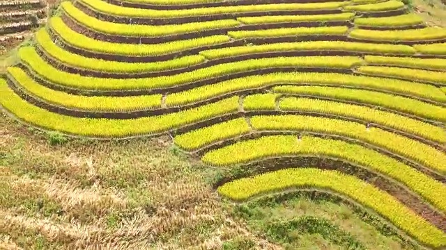 鸟瞰图从多米梯田水稻梯田在泰国北部Mae Chaem，清迈